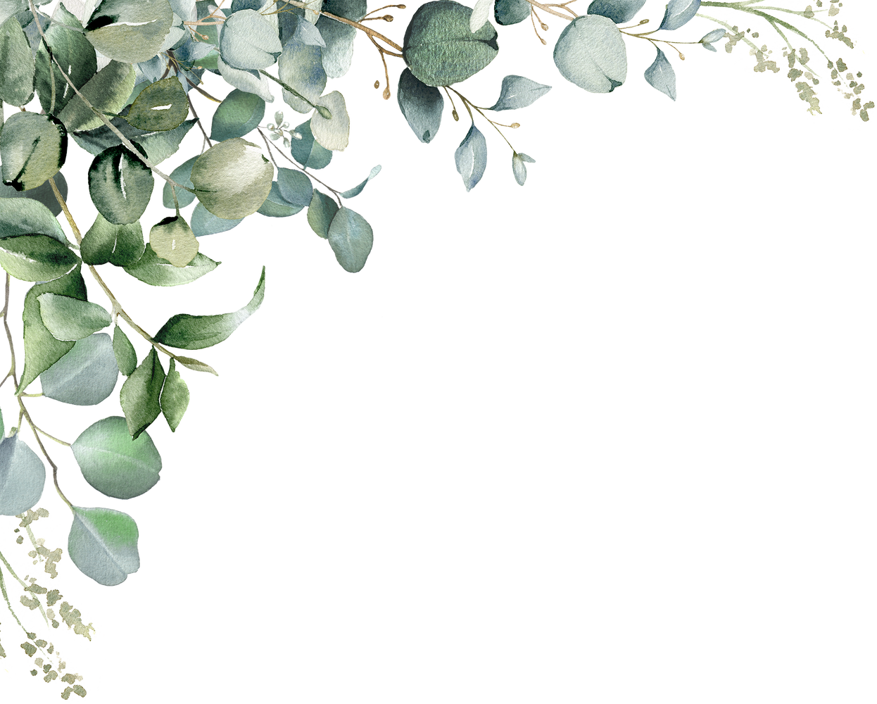 Eucalyptus corner border